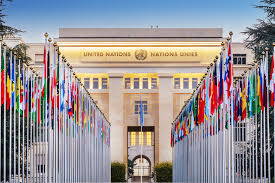 United Nations (UN)